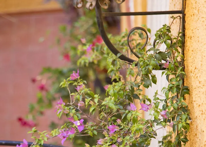 Loreto 게스트하우스 4*